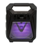 speaker 1389 wirless